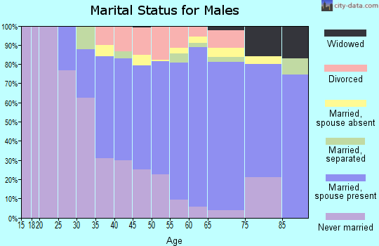 Zip code 12983 marital status for males