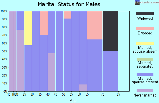 Zip code 12985 marital status for males