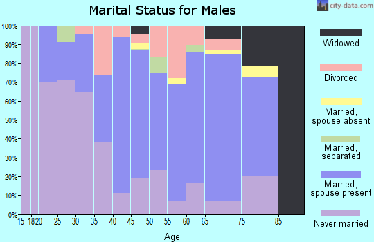 Zip code 12986 marital status for males