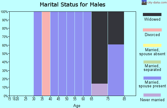 Zip code 12987 marital status for males