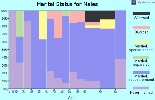 Zip code 12989 marital status for males