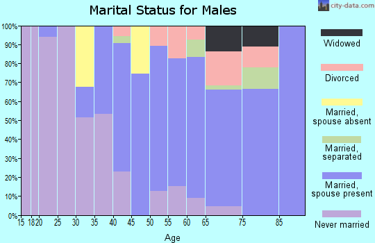 Zip code 12993 marital status for males