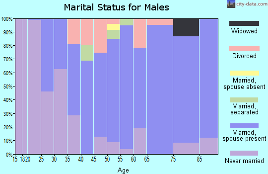 Zip code 13026 marital status for males