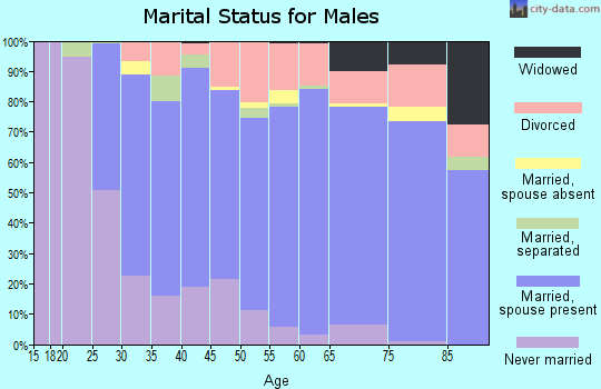 Zip code 13027 marital status for males