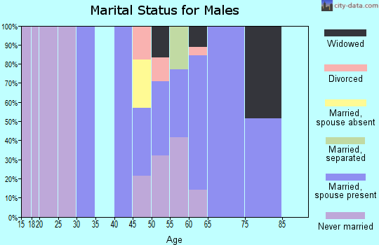 Zip code 13028 marital status for males