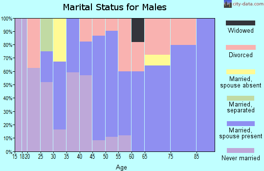 Zip code 13030 marital status for males
