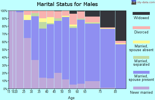 Zip code 13031 marital status for males