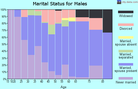 Zip code 13032 marital status for males