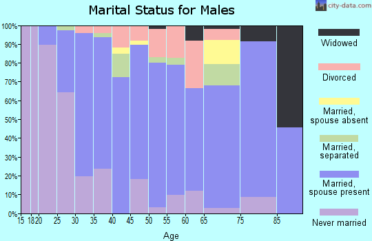 Zip code 13033 marital status for males