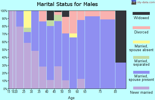 Zip code 13034 marital status for males