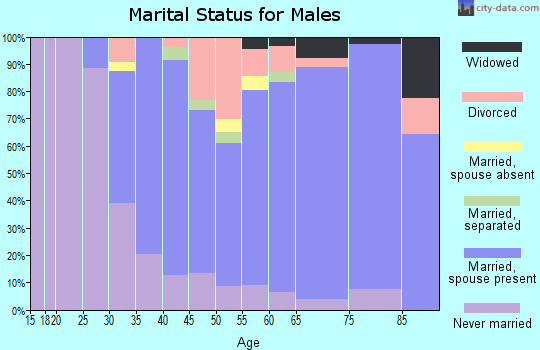 Zip code 13035 marital status for males