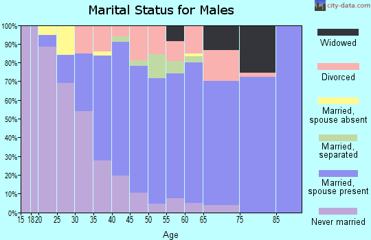 Zip code 13036 marital status for males