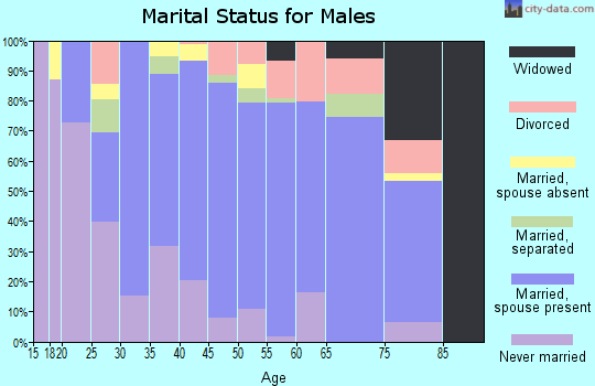 Zip code 13037 marital status for males