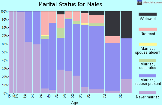 Zip code 13040 marital status for males