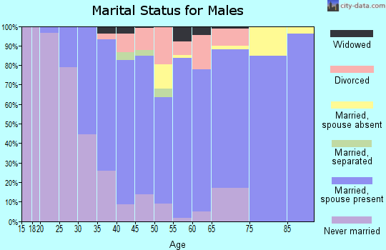 Zip code 13041 marital status for males