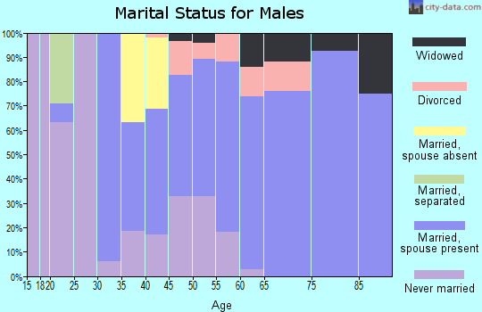 Zip code 13042 marital status for males