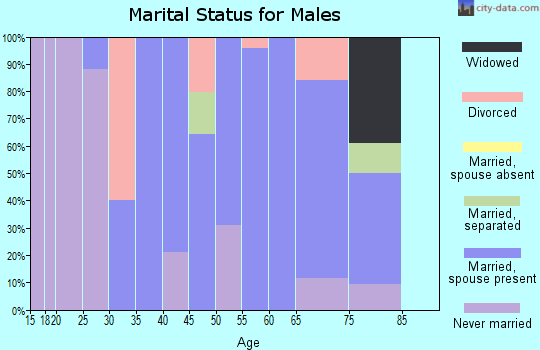 Zip code 13044 marital status for males