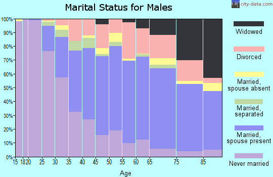 Zip code 13045 marital status for males