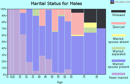 Zip code 13052 marital status for males