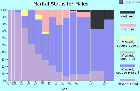 Zip code 13053 marital status for males