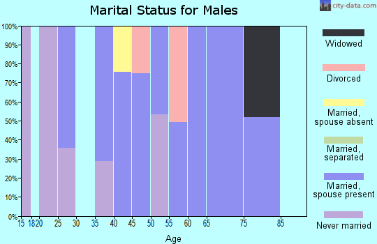 Zip code 13054 marital status for males