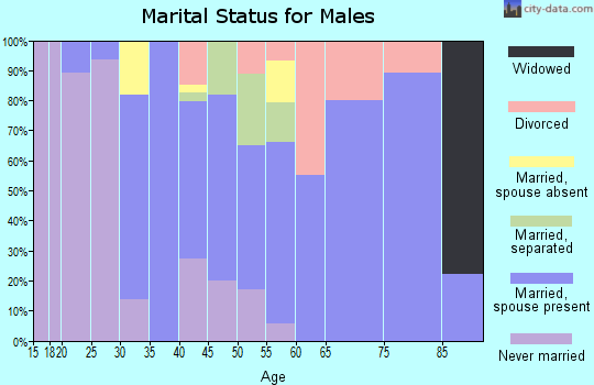 Zip code 13060 marital status for males