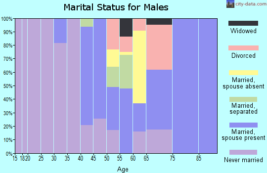 Zip code 13061 marital status for males