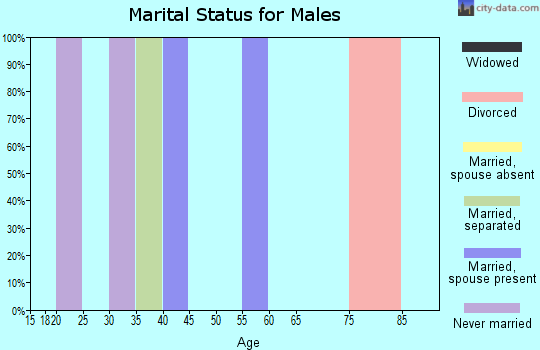 Zip code 13062 marital status for males