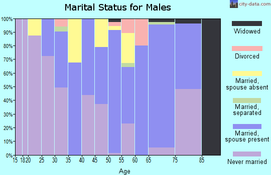 Zip code 13063 marital status for males