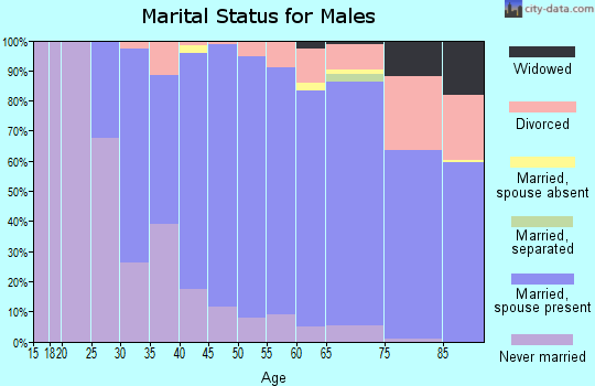 Zip code 13066 marital status for males