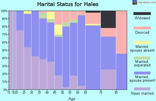 Zip code 13068 marital status for males