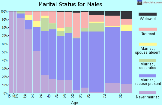 Zip code 13069 marital status for males