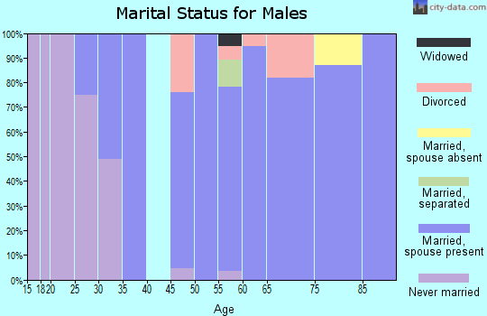Zip code 13071 marital status for males