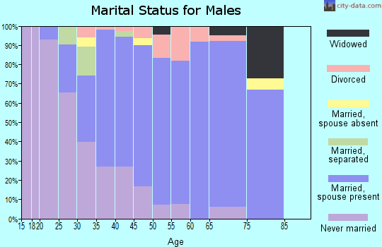 Zip code 13073 marital status for males