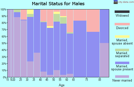 Zip code 13074 marital status for males