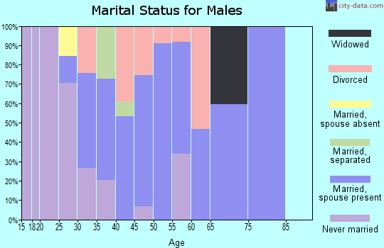 Zip code 13076 marital status for males