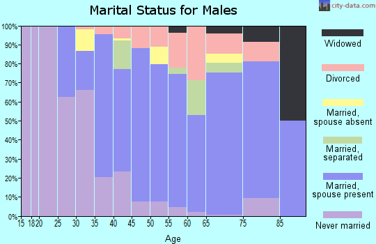 Zip code 13077 marital status for males