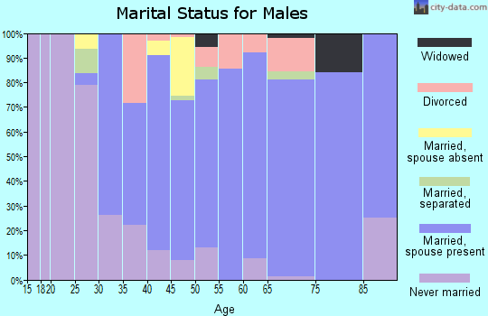 Zip code 13080 marital status for males