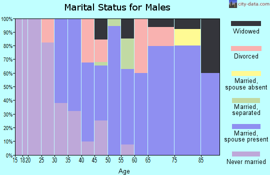 Zip code 13081 marital status for males