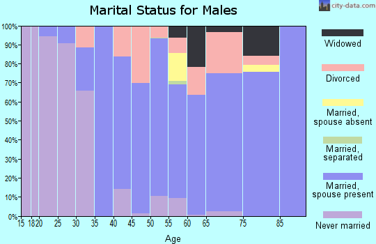 Zip code 13082 marital status for males