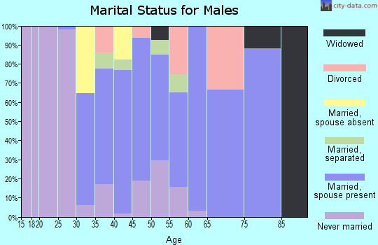 Zip code 13083 marital status for males