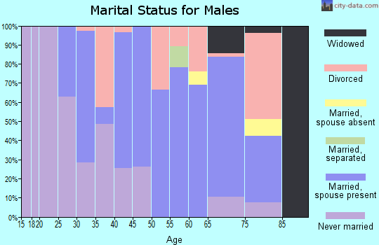 Zip code 13084 marital status for males