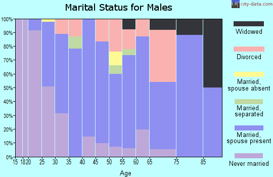 Zip code 13092 marital status for males