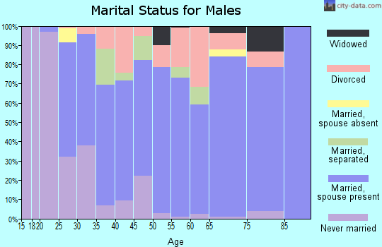 Zip code 13101 marital status for males