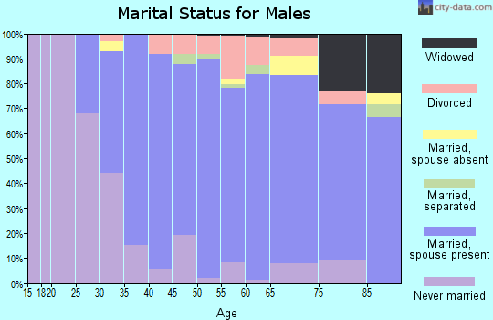 Zip code 13104 marital status for males