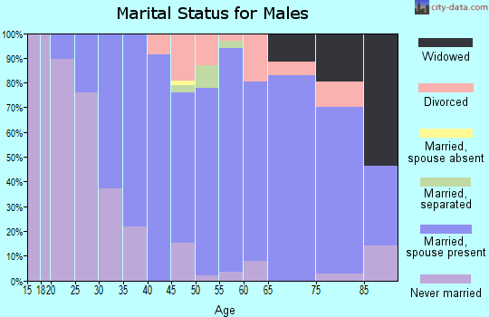 Zip code 13108 marital status for males