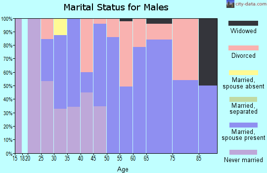 Zip code 13111 marital status for males