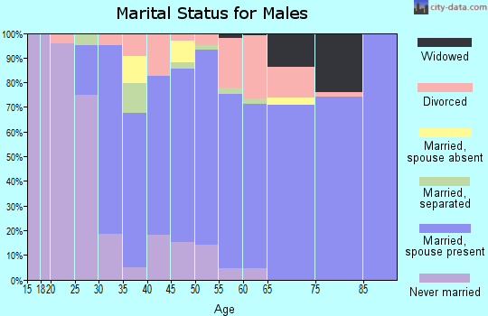 Zip code 13114 marital status for males