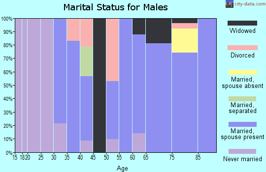 Zip code 13116 marital status for males