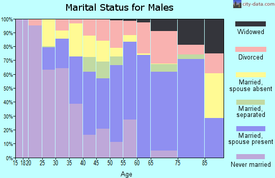 Zip code 13118 marital status for males